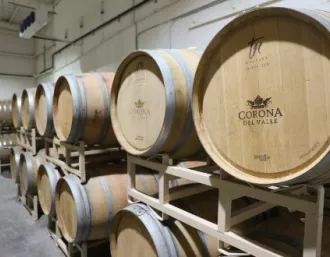 Solar Panels for Corona del Valle Winery Teaser Image