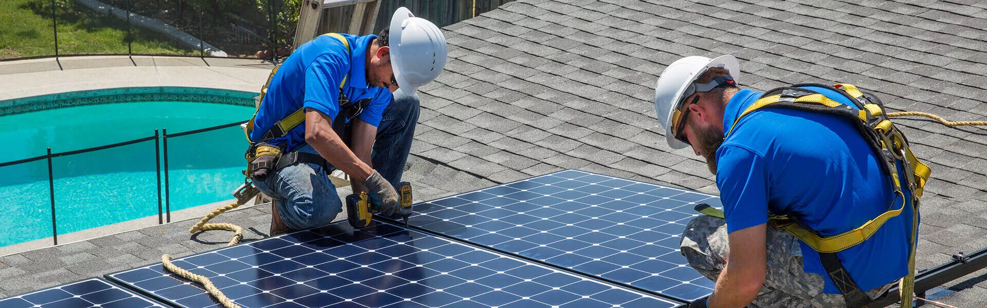 Solaranlage mit Dachbegrünung – eine Win‑Win-Situation – Energie-Experten