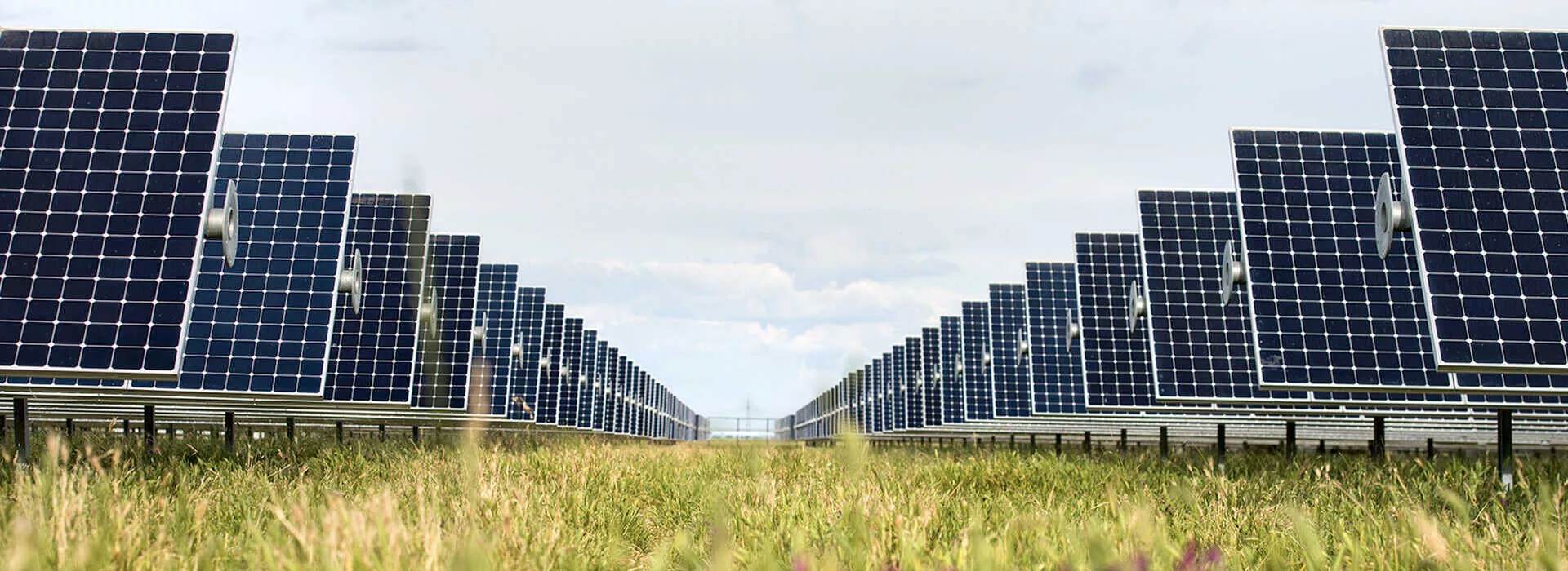 ground mount solar panels in a green field