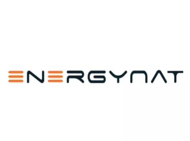 Energy Nat logo